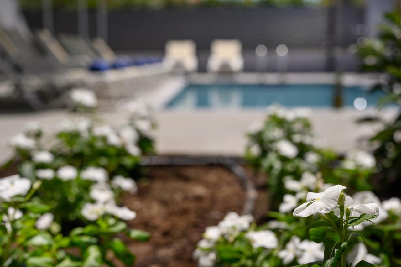 Athina Suites Luxury Suites Near The Sea Platanias Platanés المظهر الخارجي الصورة